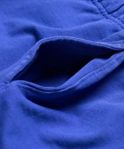 Sneaker Politics Politics Every Days Shorts - Royal Blue