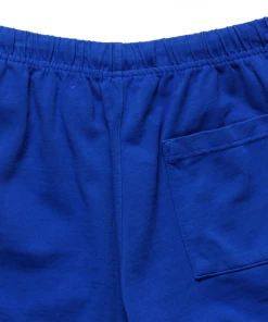 Sneaker Politics Latest Politics Every Days Shorts - Southwest Blue