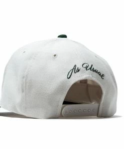 Sneaker Politics Politics As Usual Snapback Hat - Dark Green/Stone Grey