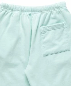 Sneaker Politics Politics Every Days Shorts - Mint Latest