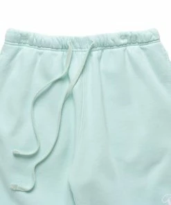Sneaker Politics Politics Every Days Shorts - Mint Latest