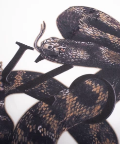 Lizoy Serpent Tee - Off White