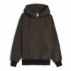 Pleasures Mobile Pinstripe Hoodie - Brown